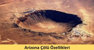 Arizona Çölü: Türleri ve Doğal Özellikleri