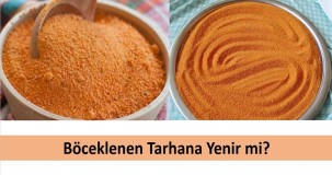 Böceklenen Tarhana Yenir mi? Saklama Koşulları ve Çözümler