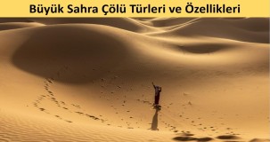 Büyük Sahra Çölü Türleri ve Özellikleri: Fauna, Flora ve Ekosistem