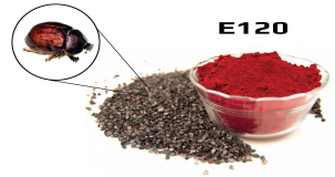 Cochineal Böceği Türleri ve Özellikleri Nelerdir?