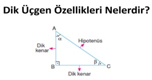 Dik Üçgen Özellikleri Nelerdir? Temel Bilgiler ve Açıklamalar