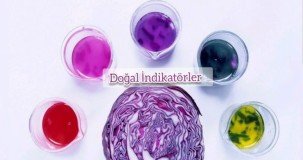 Doğal İndikatörler: Özellikleri ve Faydaları