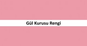 Gül Kurusu Rengi: Anlamı ve Özellikleri