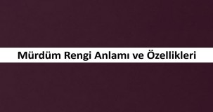 Mürdüm Rengi Anlamı ve Özellikleri