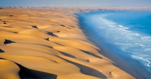 Namib Çölü Türleri ve Özellikleri: Fauna, Flora ve Ekosistem Adaptasyonları