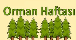 Orman Haftası Konuşma Yazıları – İlham Veren Konuşma Örnekleri