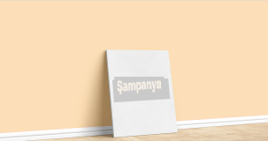 Şampanya Rengi Özellikleri ve Faydaları Nelerdir?