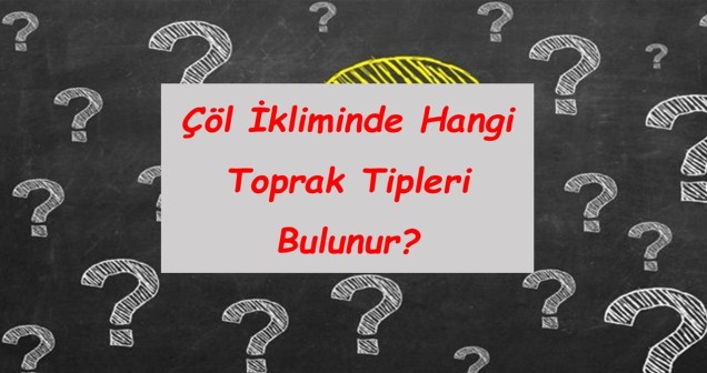 Çöl İkliminde Hangi Toprak Türleri, Tipleri Bulunur?