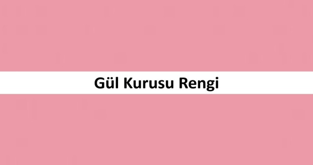 Gül Kurusu Rengi: Anlamı ve Özellikleri