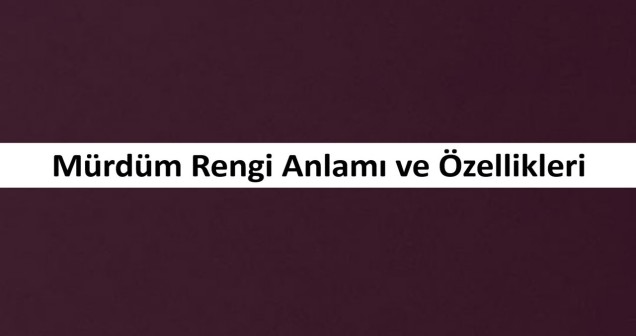 Mürdüm Rengi Anlamı ve Özellikleri